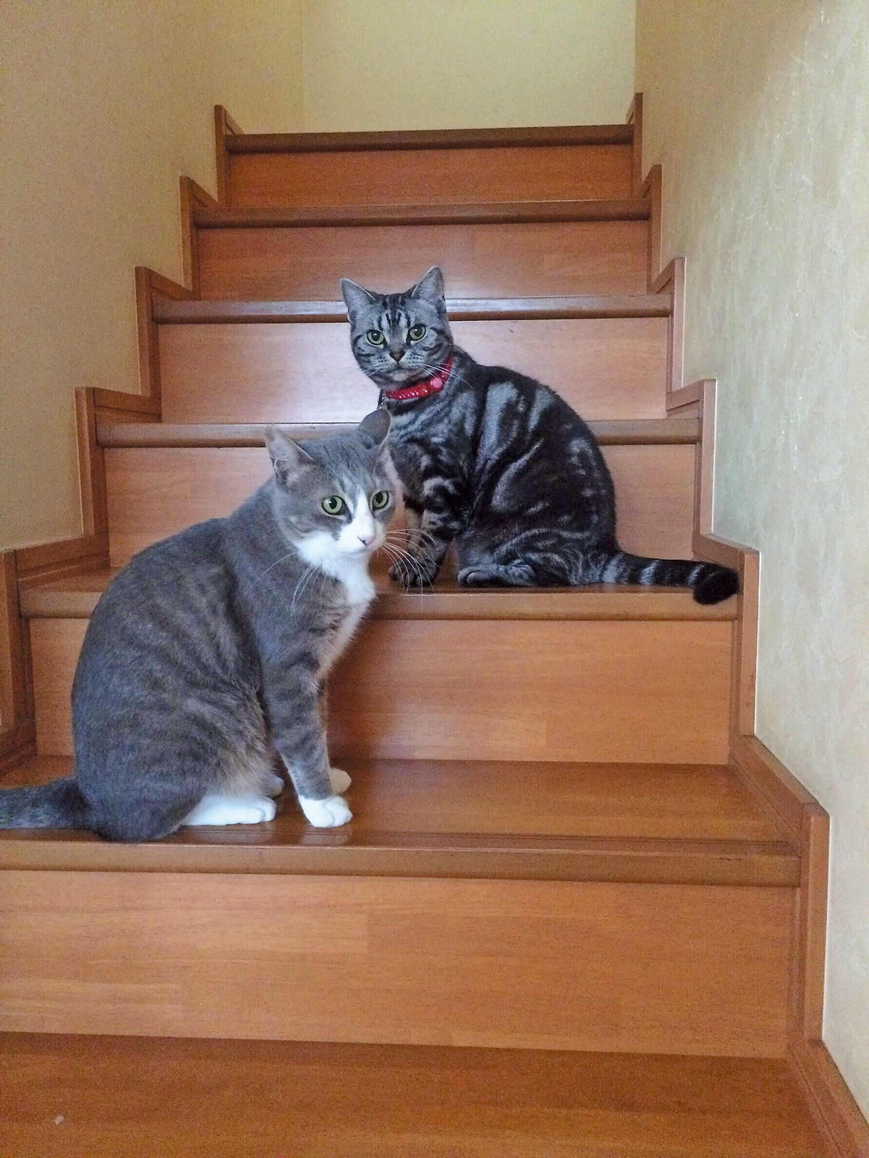 撮影／奥山美奈子