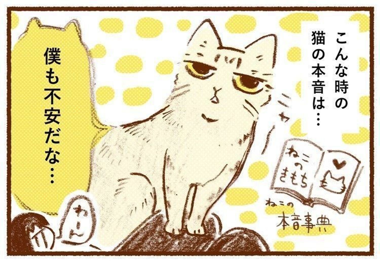 人が泣いているとそばに寄り添うとき 猫はこう思っていた しまねこぐぐの猫の本音事典 その4 ねこのきもちweb Magazine 人が泣いているとそばに寄り添うとき 猫はこう思っていた しまねこぐぐの猫の本音事典 その4 ねこのきもちweb Magazine