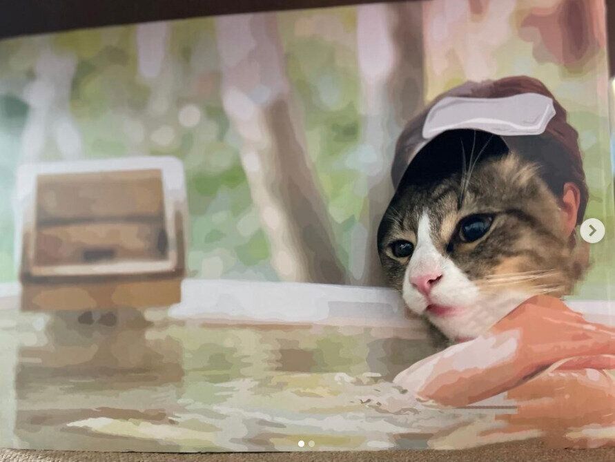 温泉の顔はめパネル