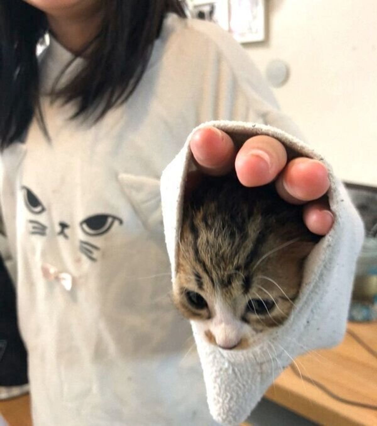 どちらか1匹 のつもりが 娘の訴えで双子の保護猫と家族に 3人の子どもの献身的なお世話ですくすく成長 ねこのきもちweb Magazine どちらか1匹 のつもりが 娘の訴えで双子の保護猫と家族に 3人の子どもの献身的なお世話ですくすく成長 ねこのきもちweb Magazine