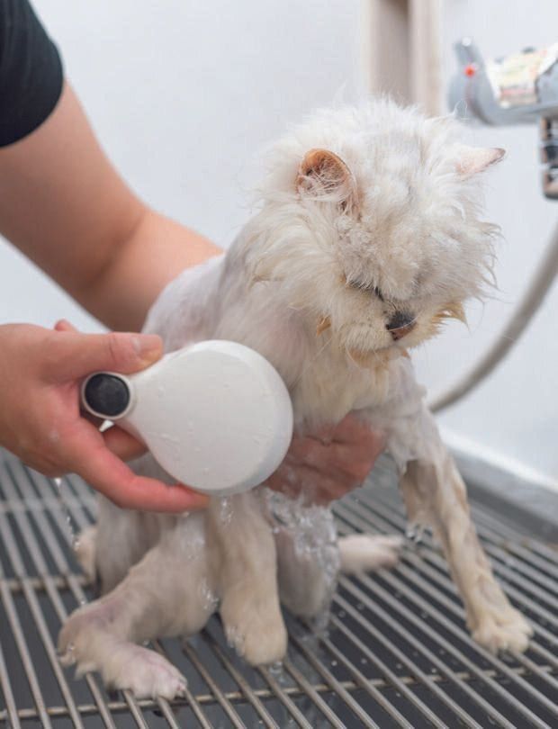 撮影／石原さくら