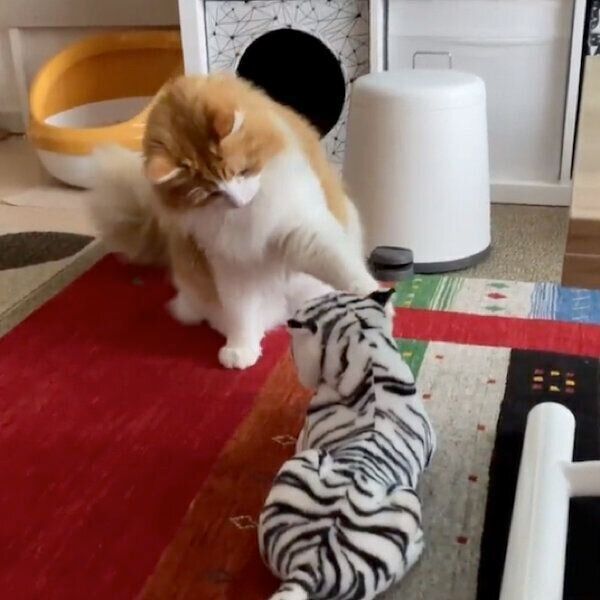 連続パンチを繰り出すチャチャくん