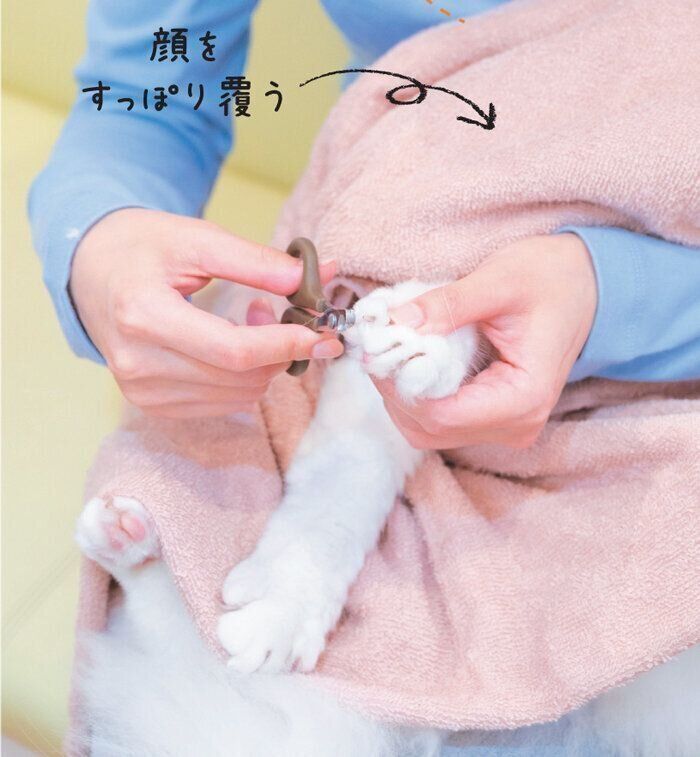 バスタオルで目隠し切り