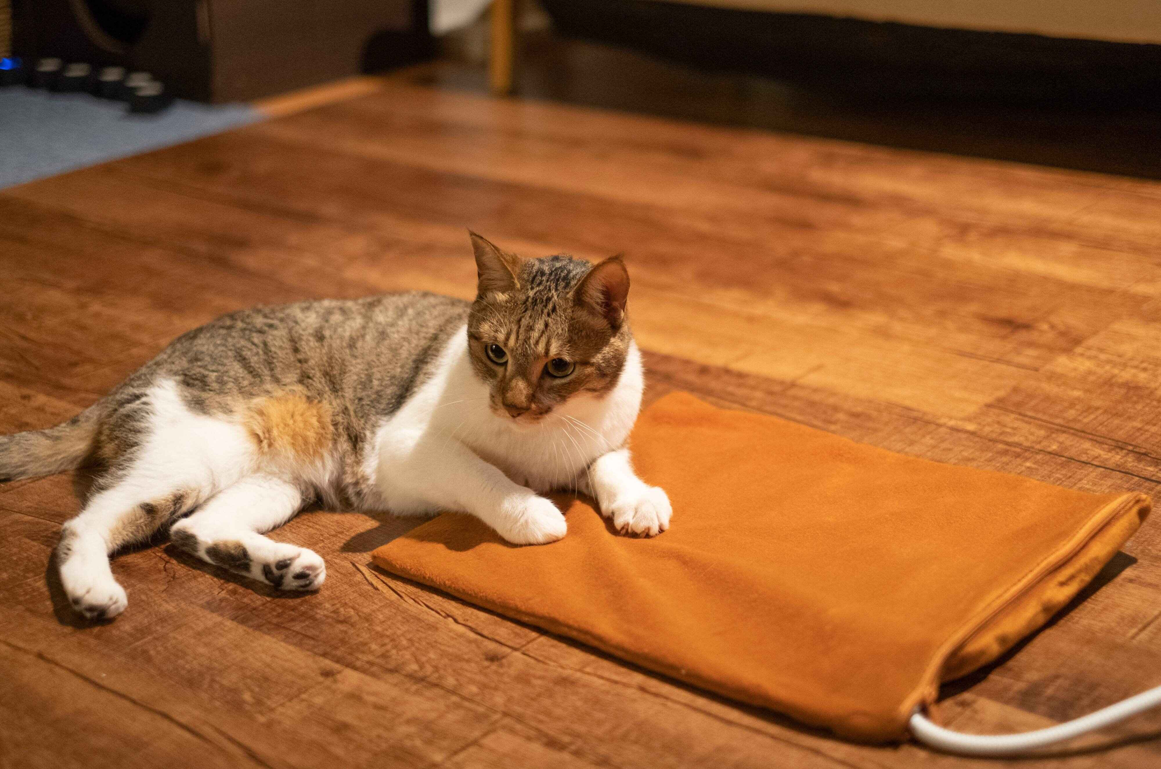 撮影／Akimasa Harada