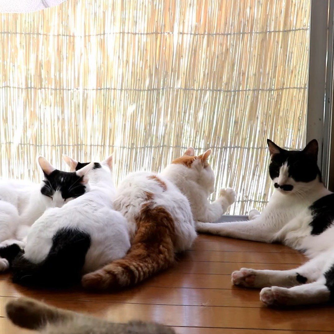 のんびりくつろぐ大人組