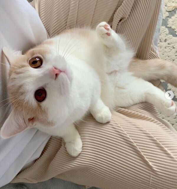 くつろぐマロくん