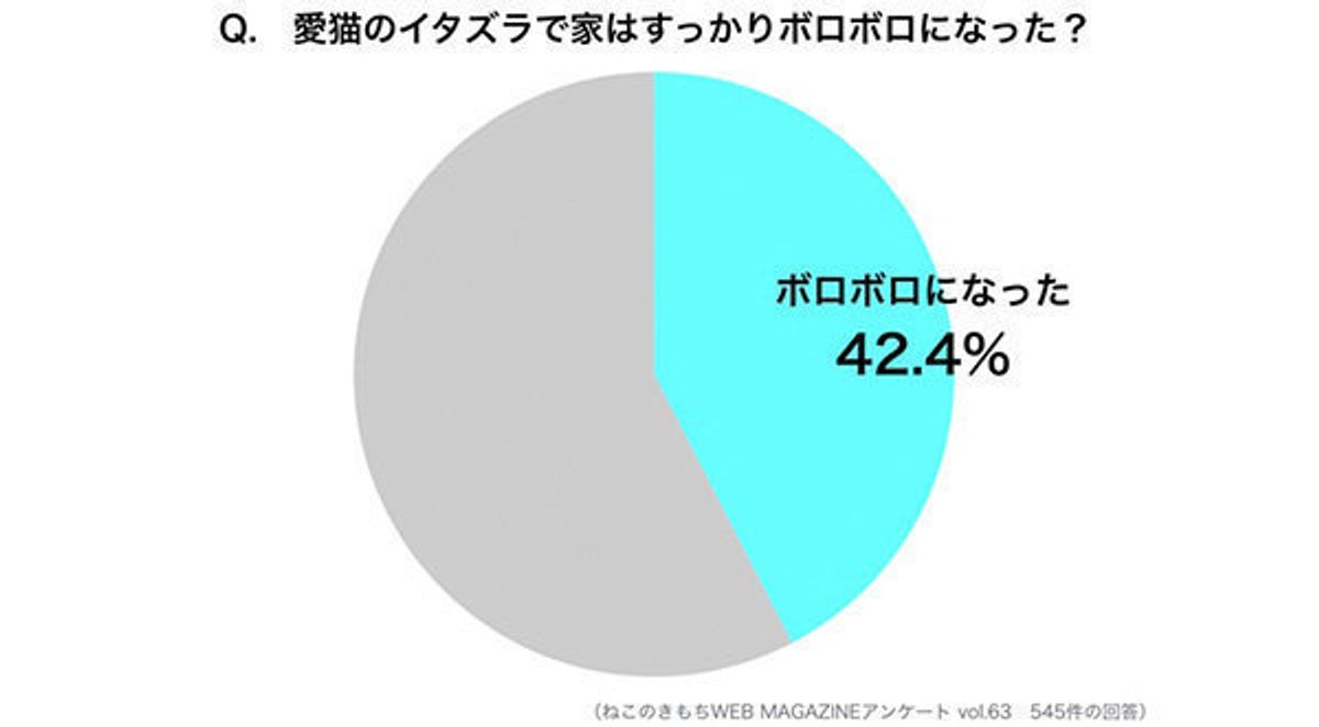 愛猫のイタズラで家がボロボロ 悲鳴をあげる飼い主さんたちの本音は ねこのきもちweb Magazine 愛猫のイタズラで家がボロボロ 悲鳴をあげる飼い主さんたちの本音は ねこのきもちweb Magazine