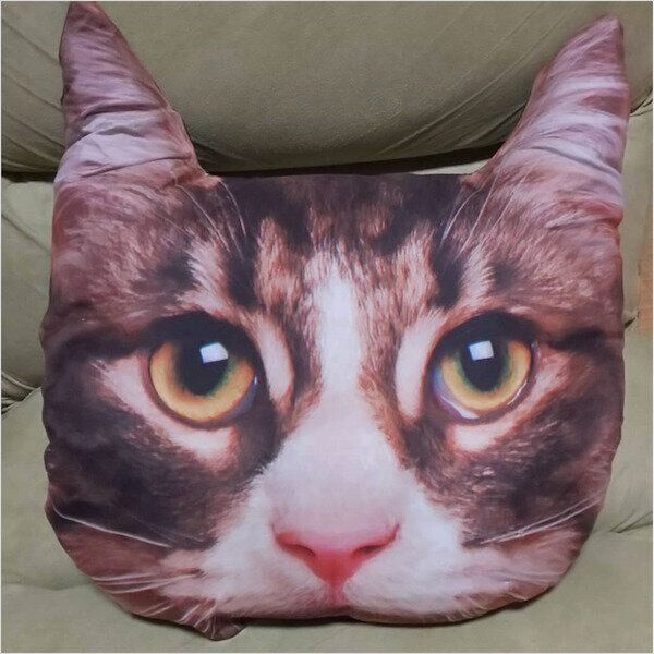 ダイソーの猫グッズ