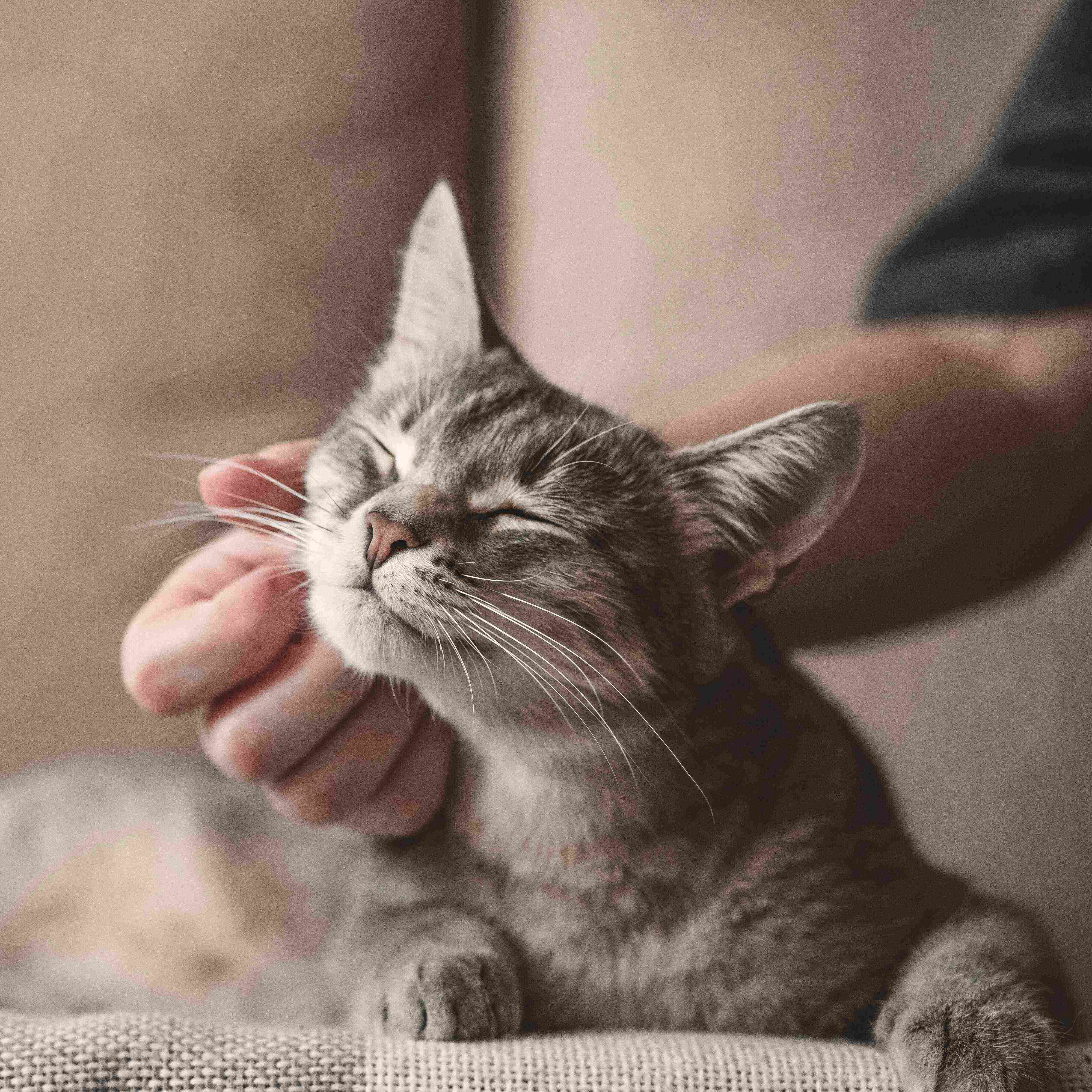 画像／iStock、Getty Images Plus