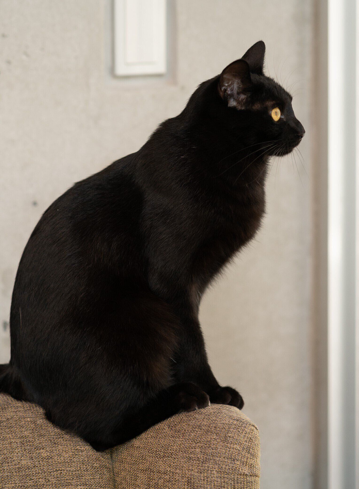 撮影／石原さくら