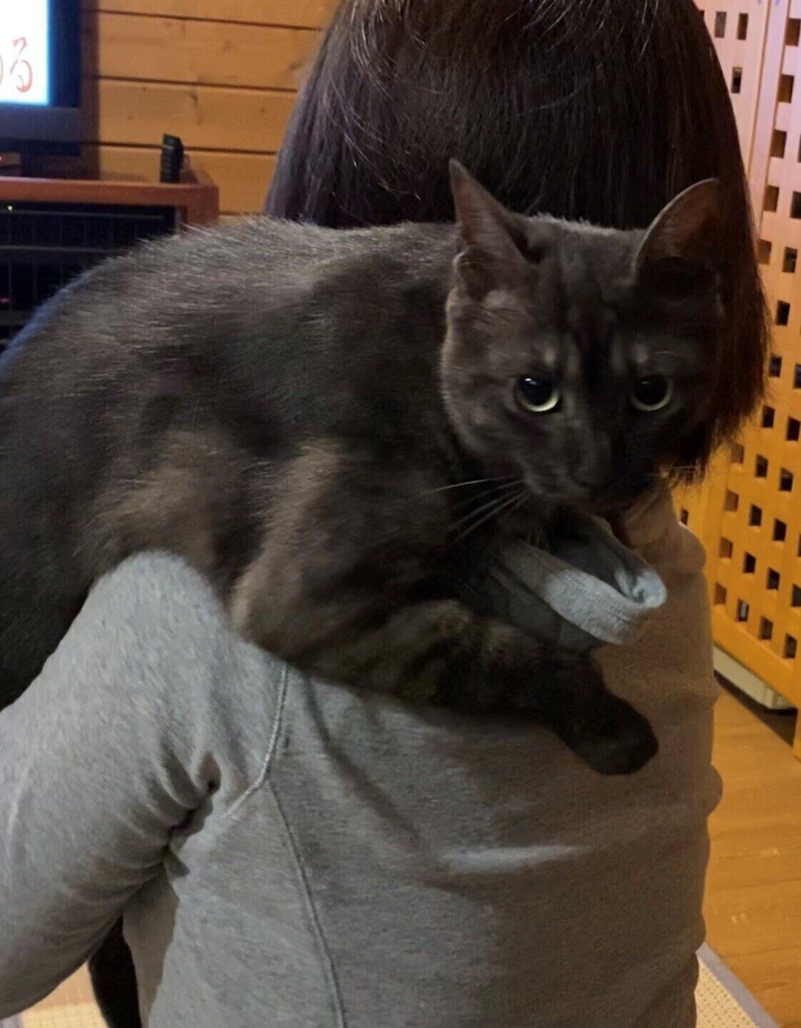 写真提供／読者