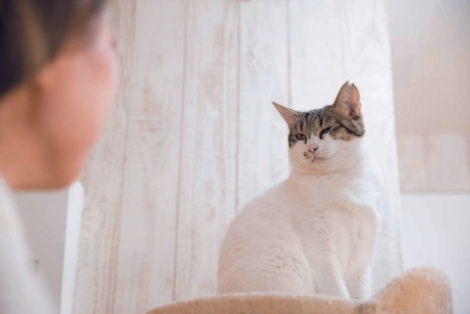 画像／2018年2月号「マンネリ解消しよう！」