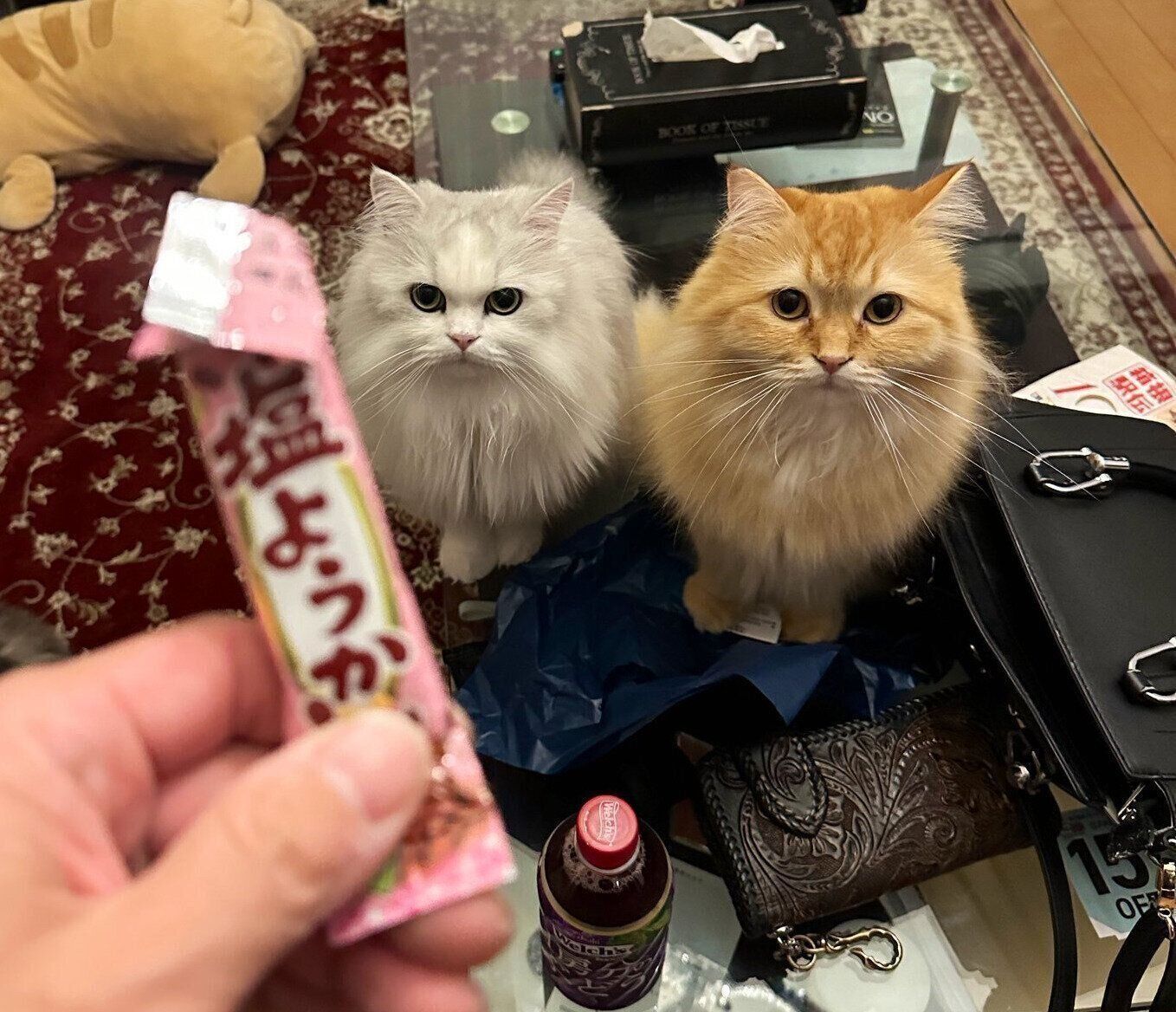 ノーマンくんとエマちゃん