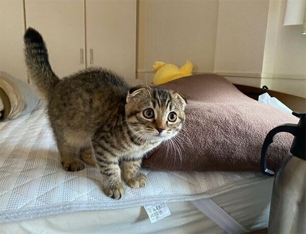 イタズラする前に見つかったまつたけちゃん