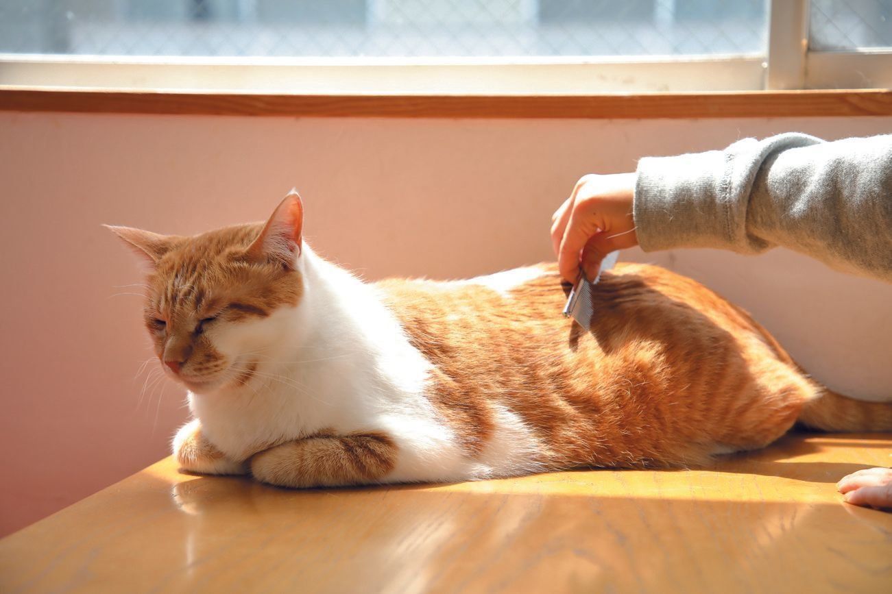 撮影／尾﨑たまき