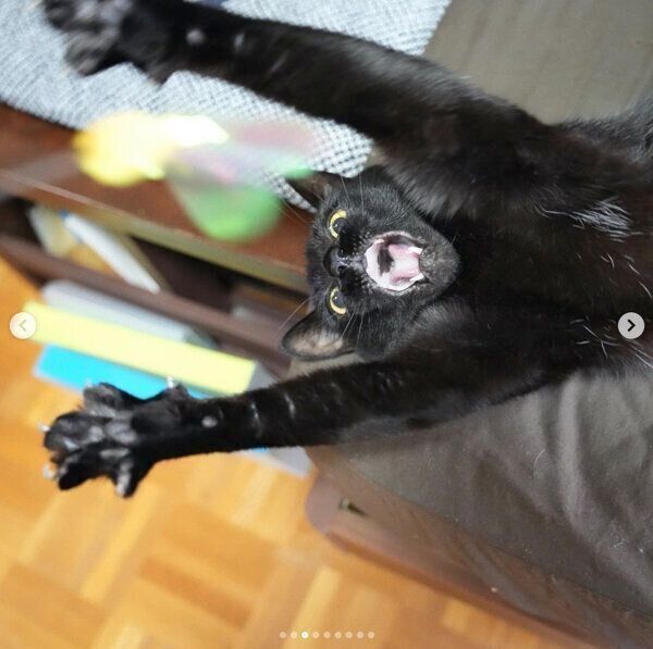 楽しそうに遊ぶオレオくん