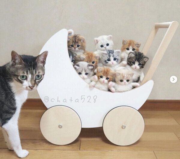 cha-taさんの羊毛フェルト作品