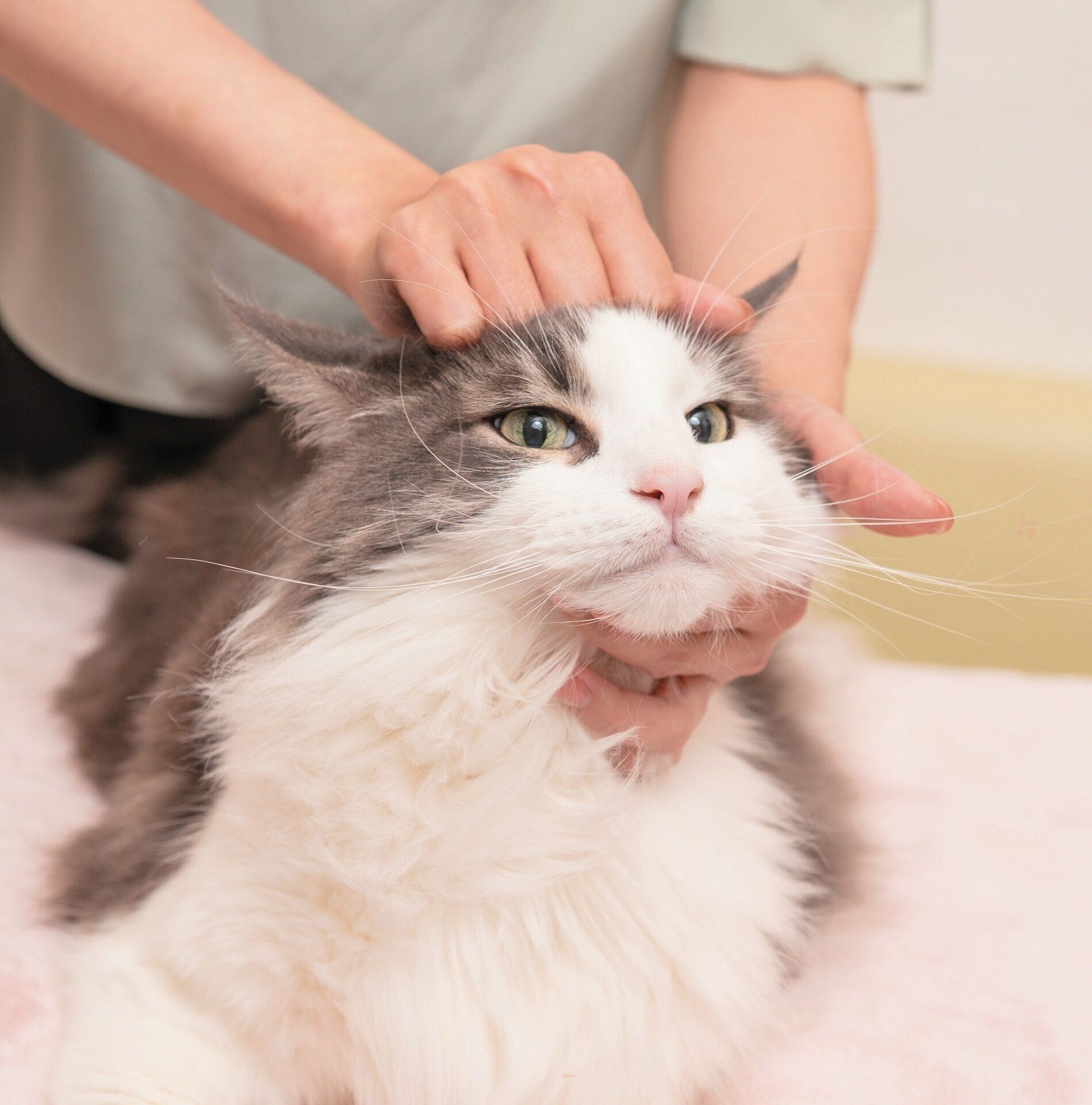 おでこをほぐすマッサージ