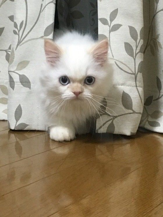 狙いをさだめて〜