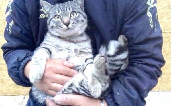 抱っこされるコタローくん