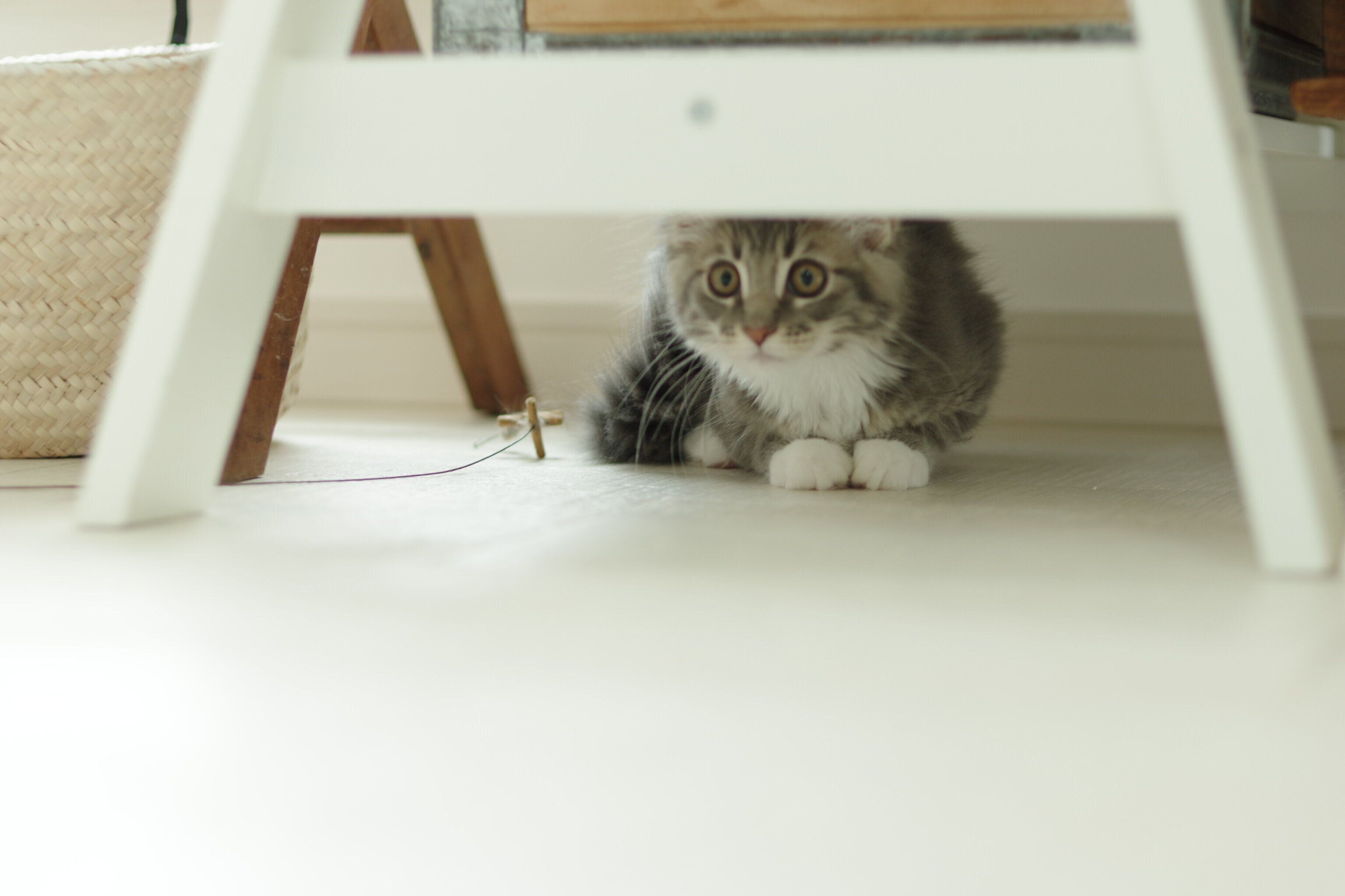 撮影／石原さくら