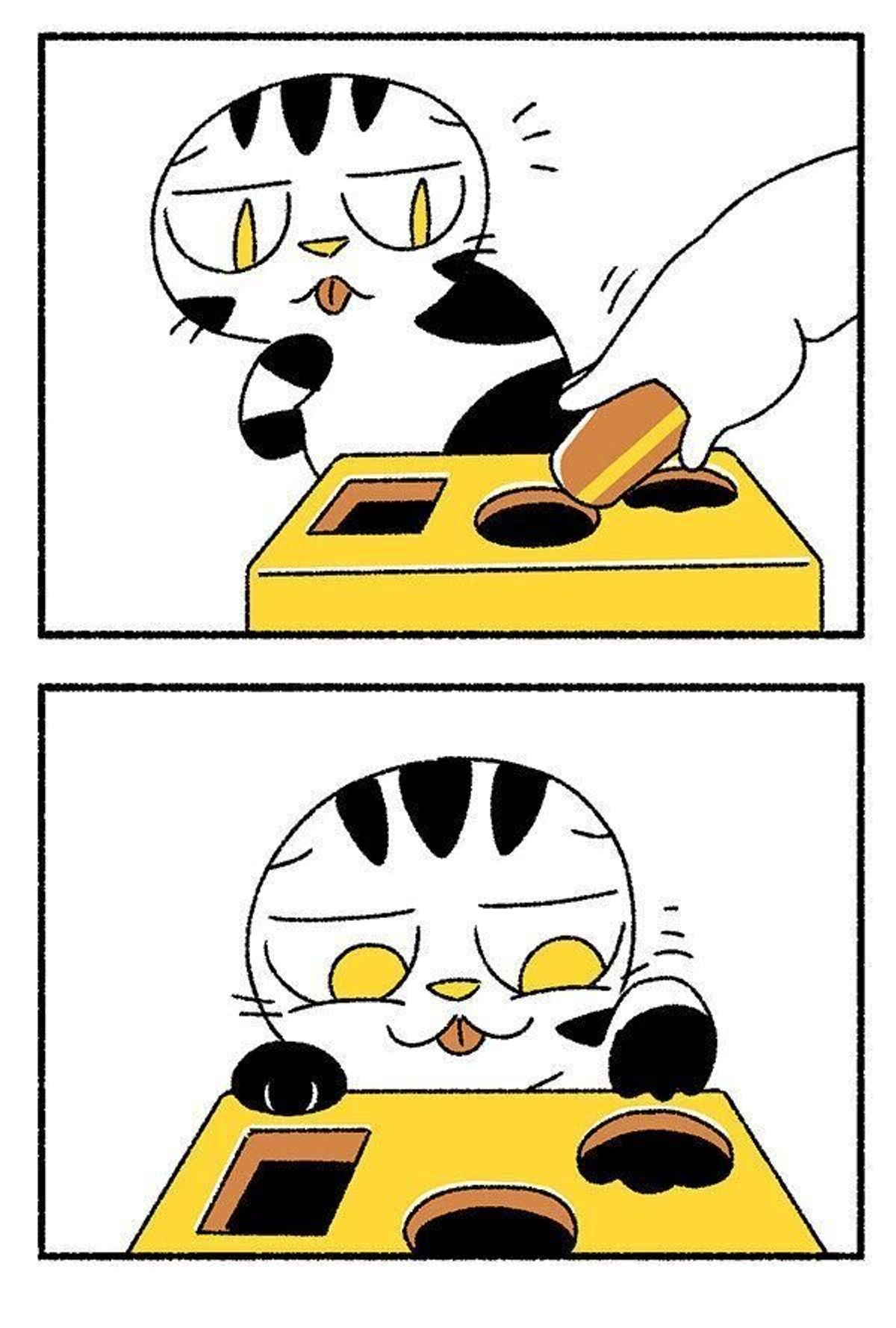 近づきすぎてライバルに ししまると息子のお話 連載 渋ネコししまるさん 112 ねこのきもちweb Magazine 近づきすぎてライバルに ししまると息子のお話 連載 渋ネコししまるさん 112 ねこのきもちweb Magazine