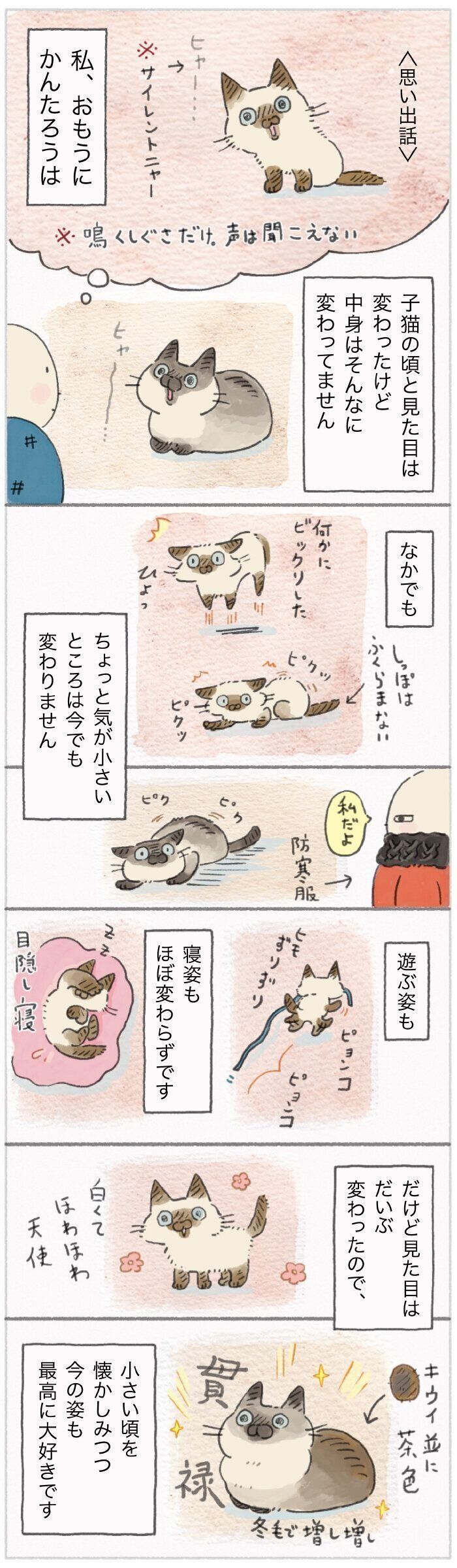 「ねこ連れ草」162話め