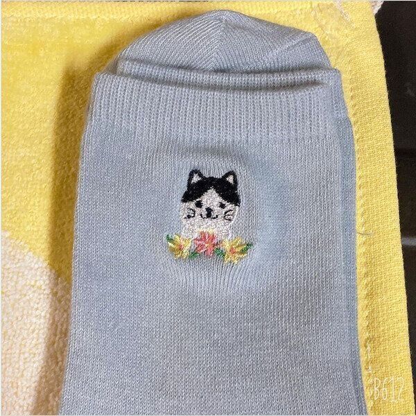 ダイソーの猫グッズ