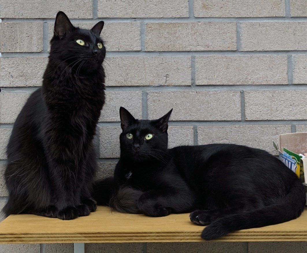 モアちゃんとベアちゃん