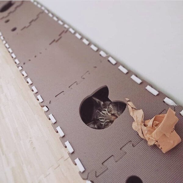 ジョイントマットで作る猫トンネル