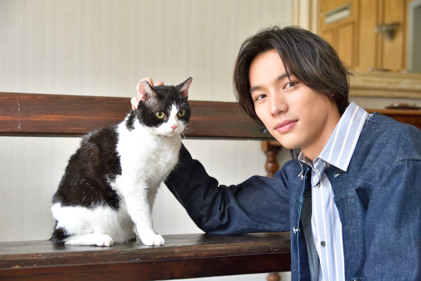 福士蒼汰さんが語る 猫第一主義 の現場で起こった 奇跡 ねこのきもちweb Magazine 福士蒼汰さんが語る 猫第一主義 の現場で起こった 奇跡 ねこのきもちweb Magazine