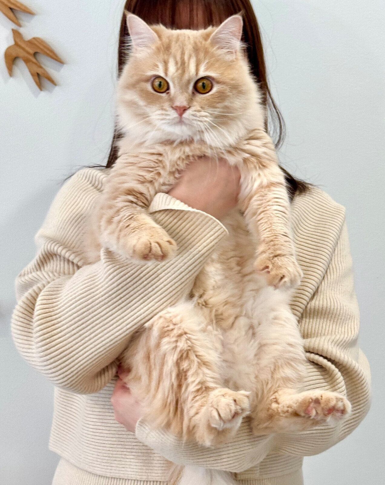 1才になったてんぷらくん