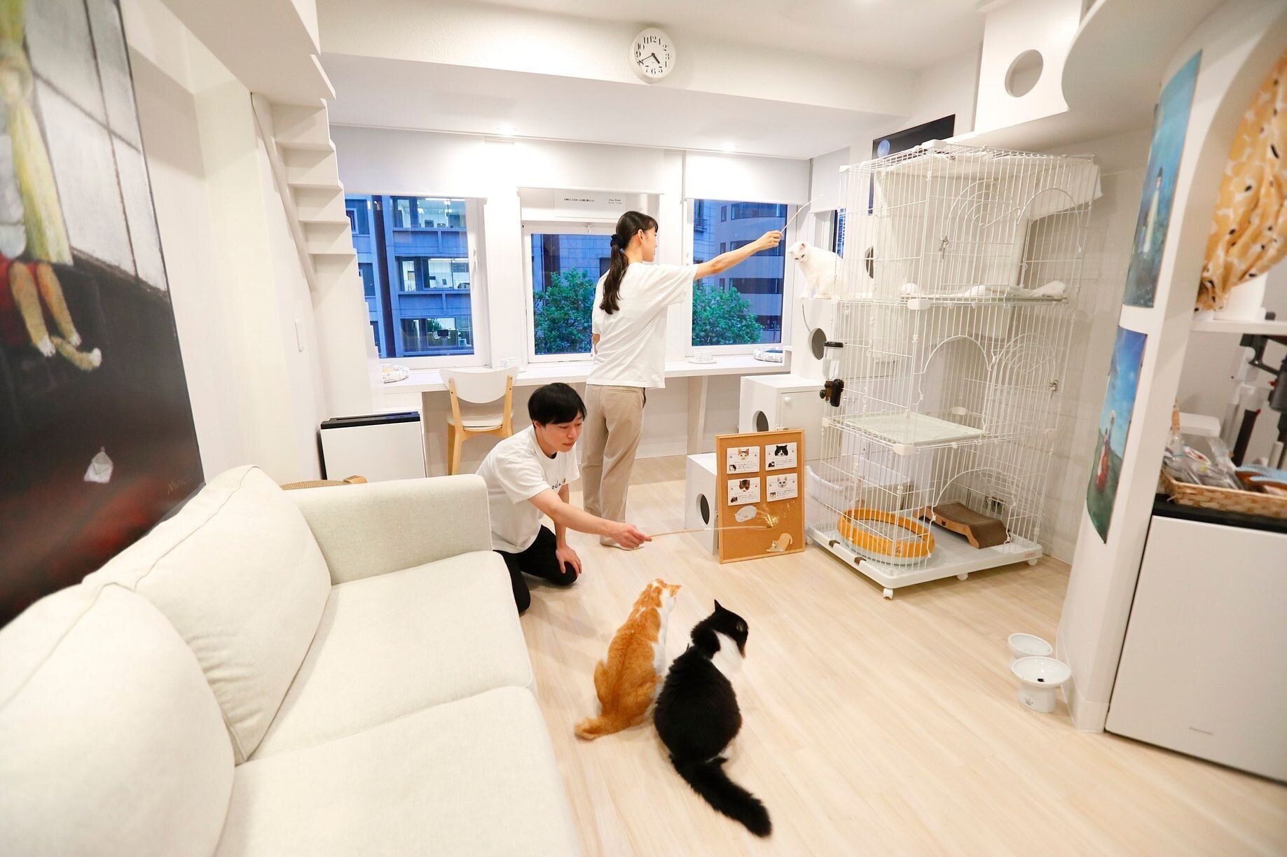 撮影／後藤さくら