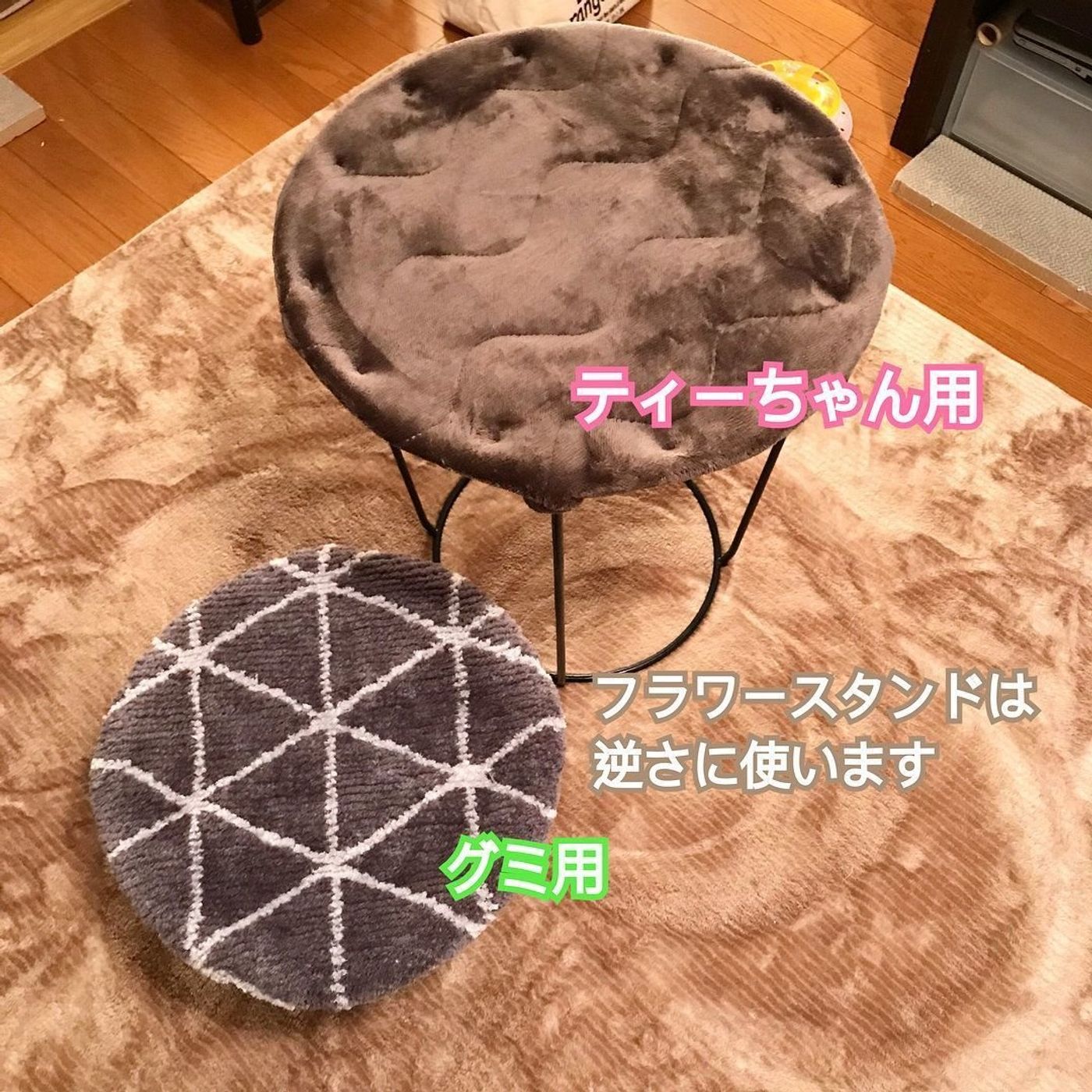 材料は3つ インテリアにマッチする手作り猫ベッド ねこのきもちweb Magazine 材料は3つ インテリアにマッチする手作り猫ベッド ねこのきもちweb Magazine