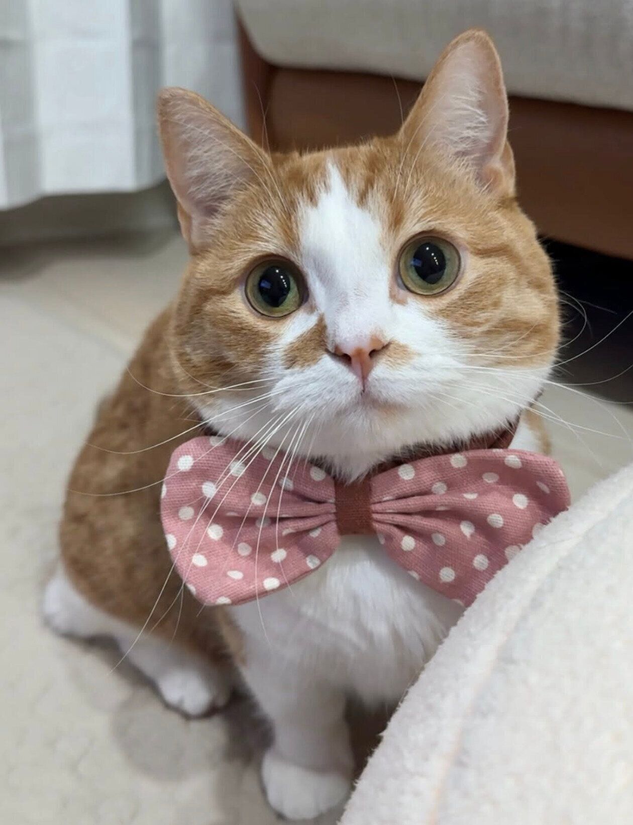 成長したみくるちゃん