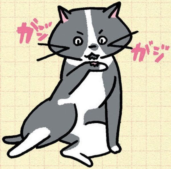 猫の皮膚の病気