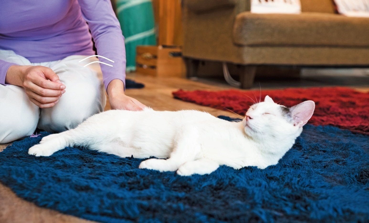 撮影／中川文作