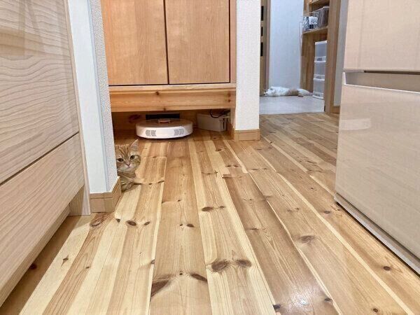 寝転がるぷてぃこちゃん、ちょみーちゃん