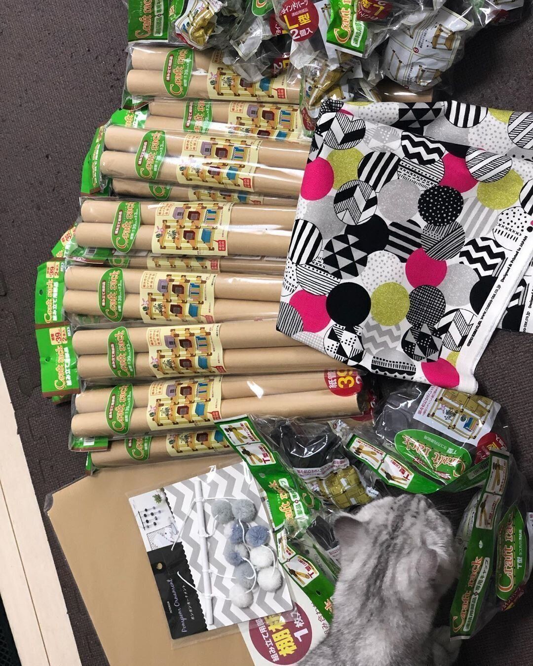 クラフトラック　材料　覗き込む猫