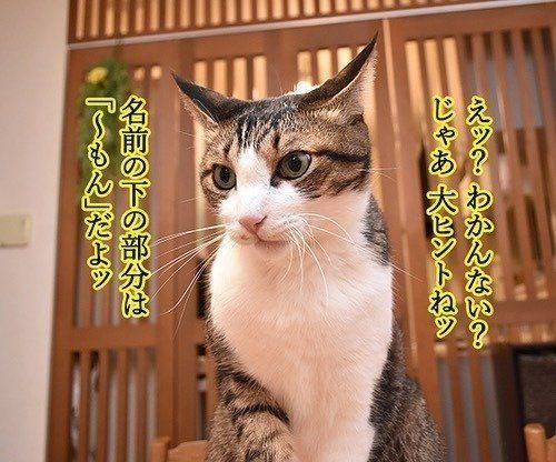 ヒントをくれるやさしいあずきさん