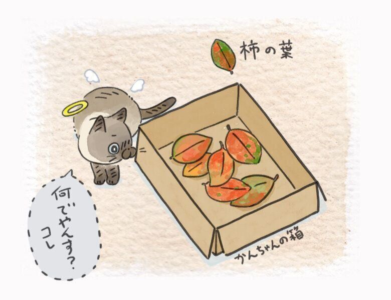 かんたろう(魂ver)イメージ絵日記 #3