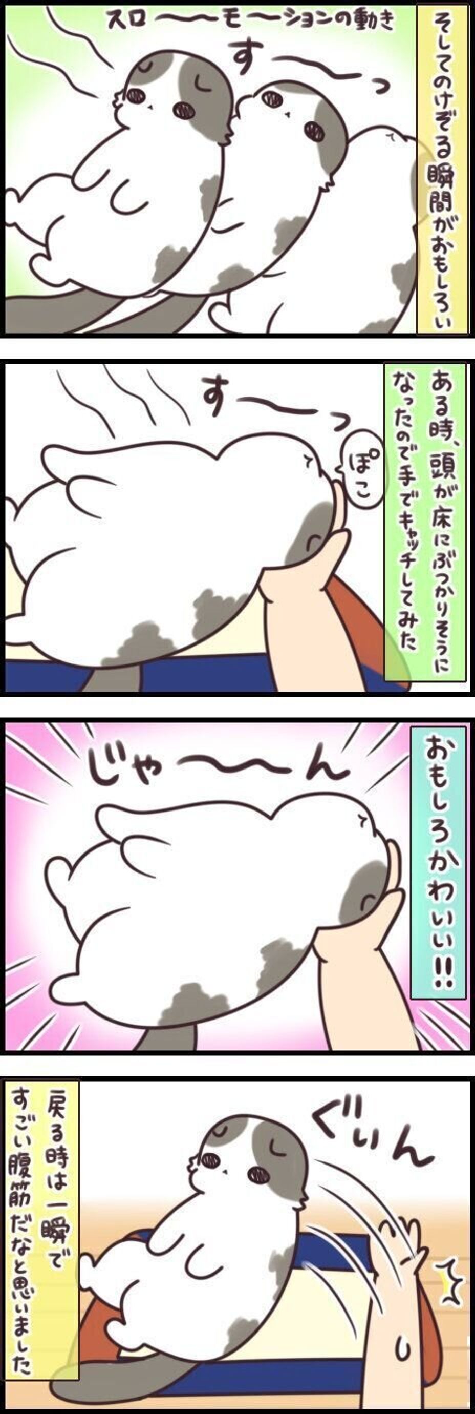 なんでこの状態に 最近ハマっている変てこなポーズとは 連載 もふもふスコたん 234 ねこのきもちweb Magazine なんでこの状態に 最近ハマっている変てこなポーズとは 連載 もふもふスコたん 234 ねこのきもちweb Magazine
