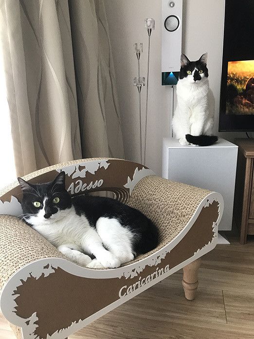 リュックとソラの恋愛事情