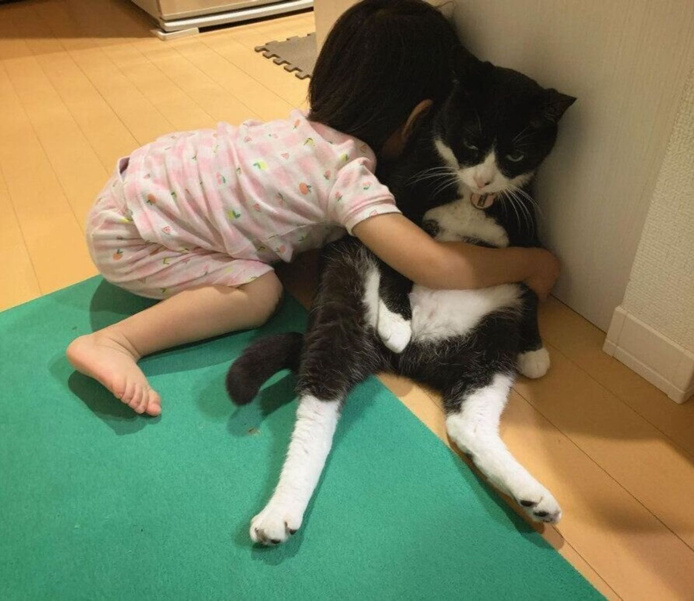 子どもとねこ 愛が溢れる関係性に心うたれる 素敵なご家族をご紹介します いぬねこ絵本部 ねこのきもちweb Magazine 子どもとねこ 愛が溢れる関係性に心うたれる 素敵なご家族をご紹介します いぬねこ絵本部 ねこのきもちweb Magazine