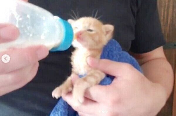 ミルクを飲むトロくん