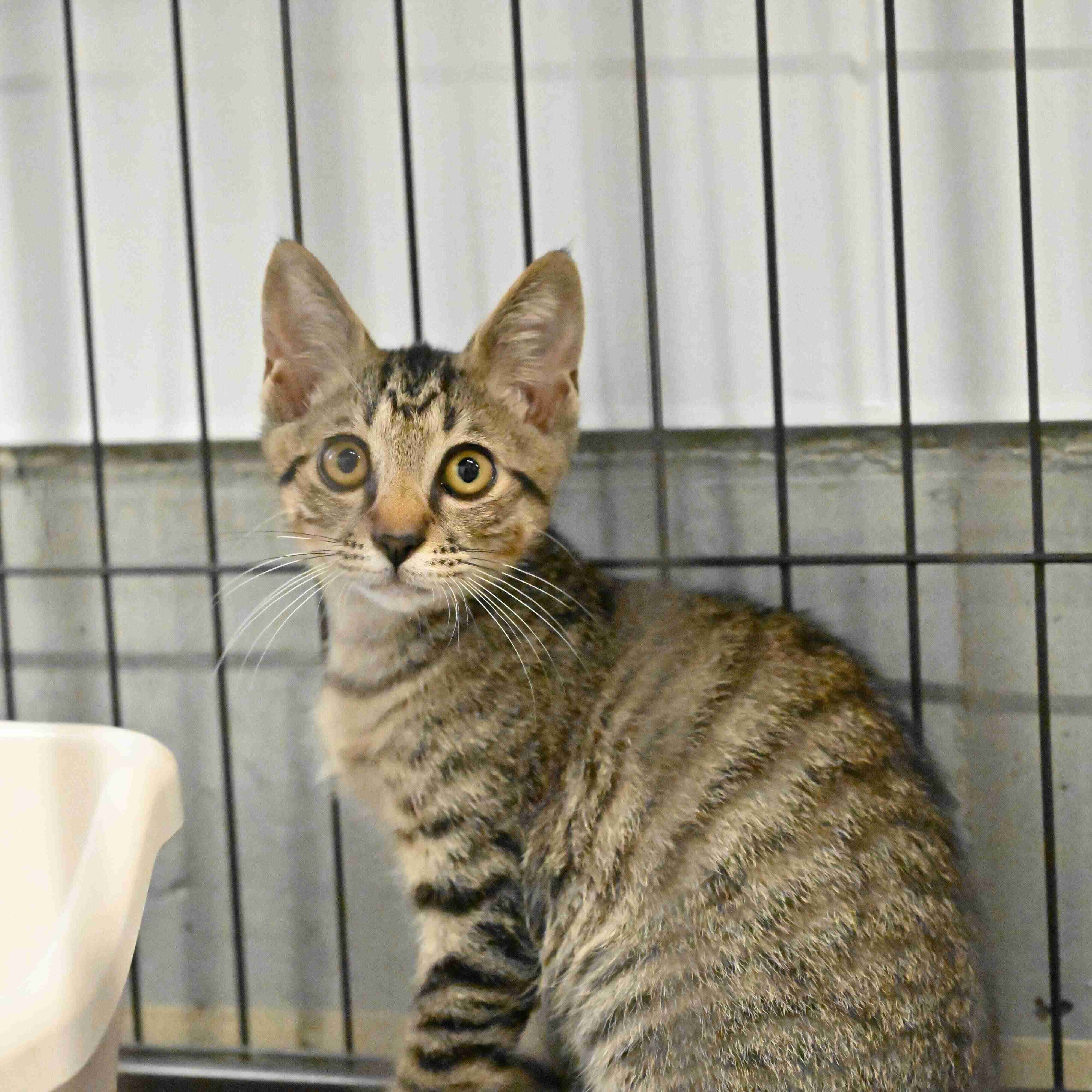 撮影／Akimasa Harada