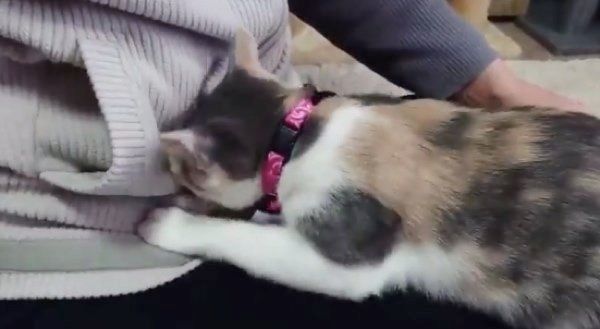 おやつを探すゆずちゃん