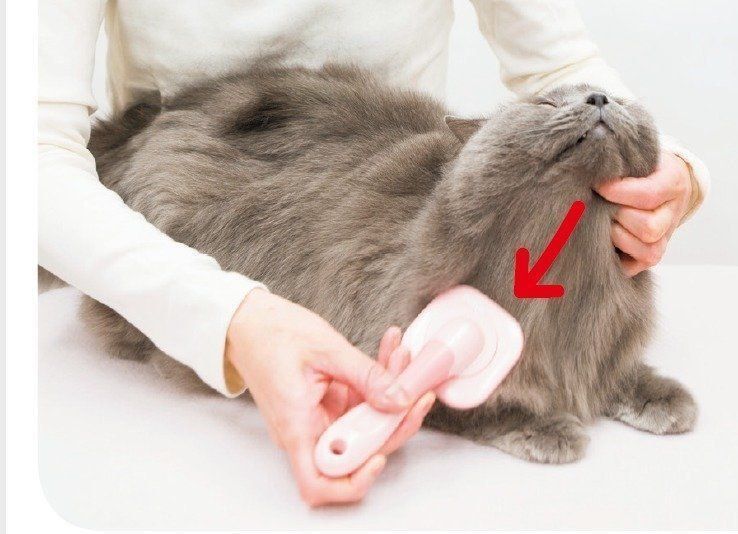 撮影／中川文作