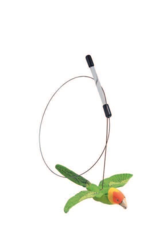 撮影／尾﨑たまき