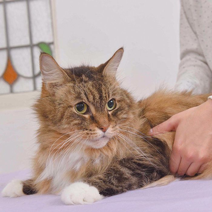 撮影／中川文作